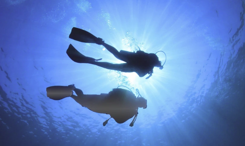 Divemaster leading a group of divers underwater at Iguana Divers Santa Teresa