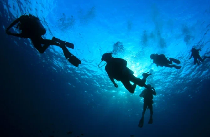 Specialty diving course underwater photography in Santa Teresa Costa Rica